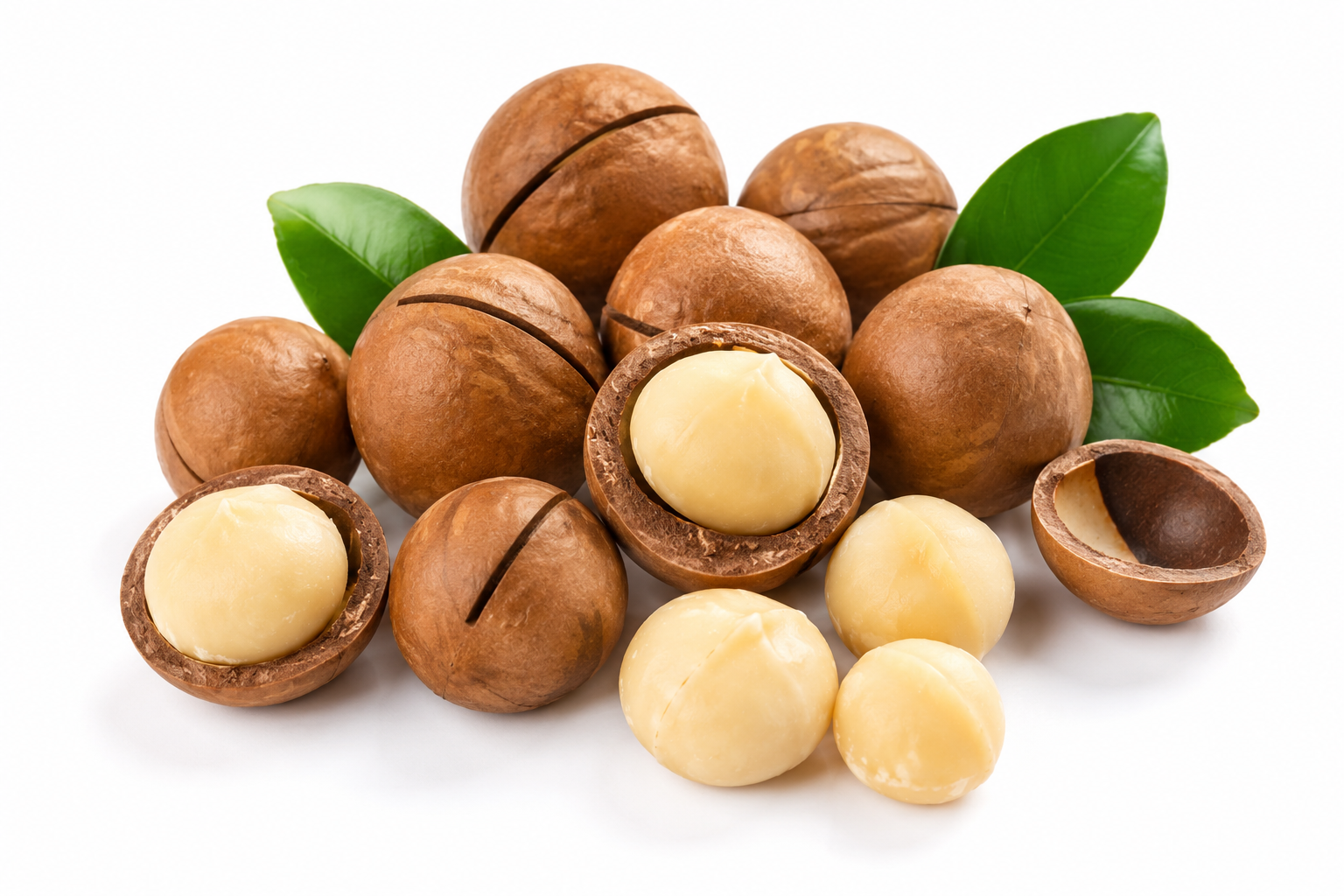 Macadamia Nuts 1 KG